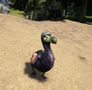 Dodo Ingame